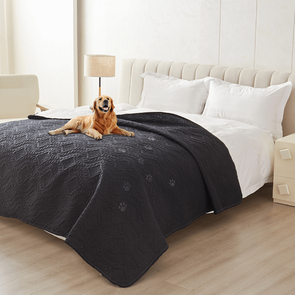 Versatile Moisture-Proof Dog Mat