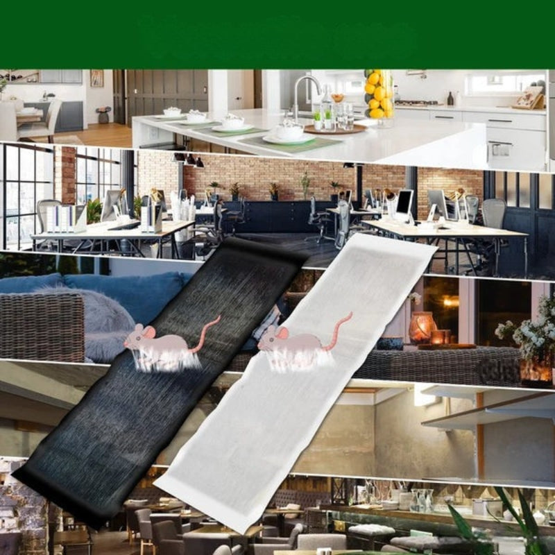 BowLift | RodentLock Large Sticky Trap – Effective and Easy Pest Control