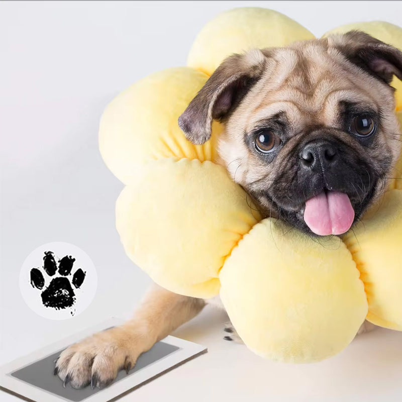 BowLift | Animal Paw Print Set