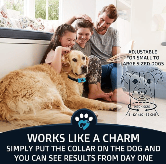 BowLift | Anti-Bark Collar