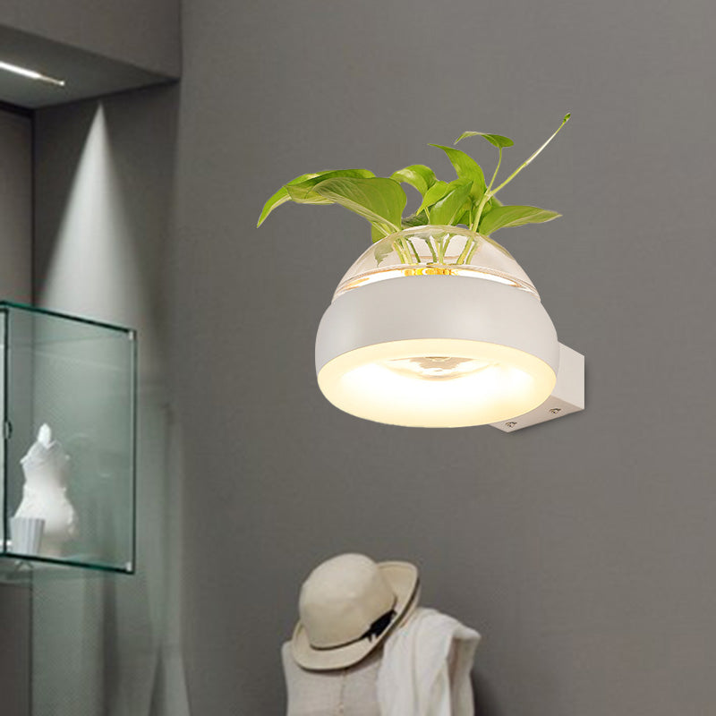 BowLift | Clear Glass Dome Wall Lighting Industry 1 Bulb Bedroom LED Wall Light Lamp in Black/Grey/White with Plant Holder