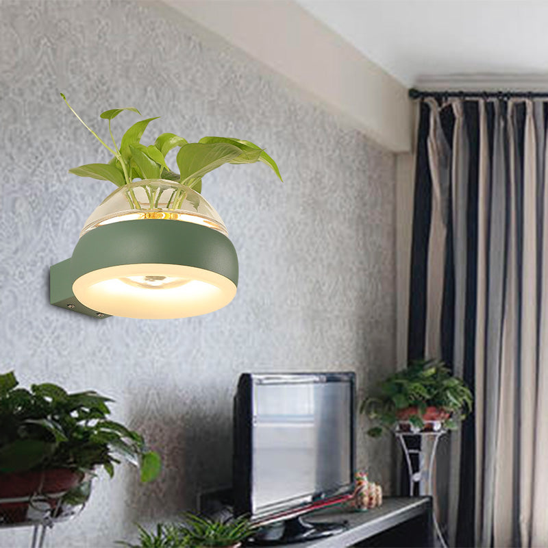 BowLift | Clear Glass Dome Wall Lighting Industry 1 Bulb Bedroom LED Wall Light Lamp in Black/Grey/White with Plant Holder