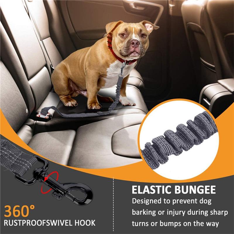 BowLift | Adjustable Safety Belts for Dogs