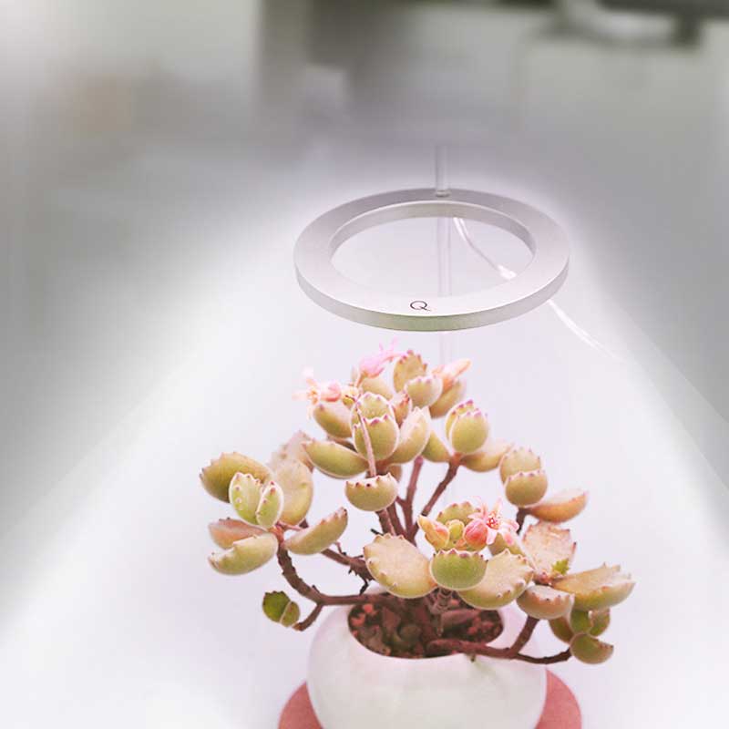 BowLift | Grow lights for indooe plants