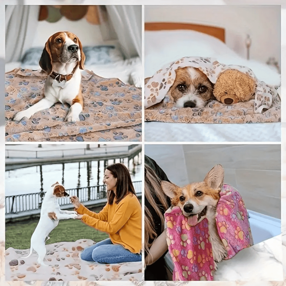 CozyPaws Pet Blanket