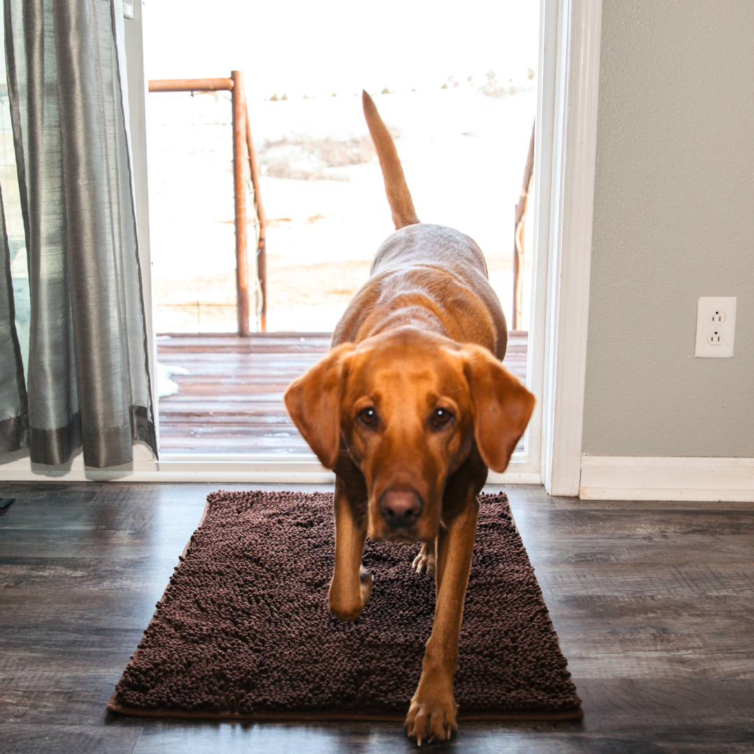 BowLift | Joep Dog Door Mat – Super Absorbent Mat for Dirty Paws