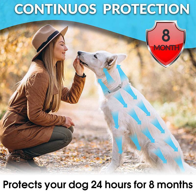 BowLift | Adjustable Insect Defense Collar for Pets