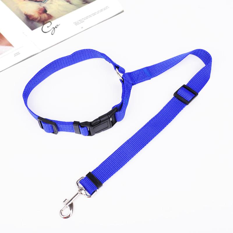 BowLift | Adjustable Car Dog Leash
