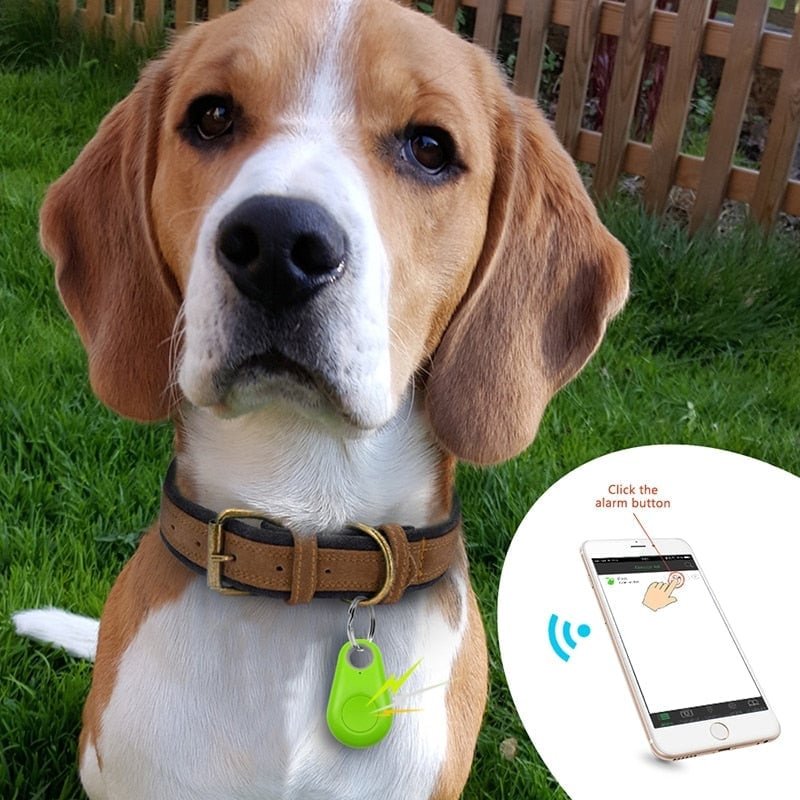 BowLift | Bluetooth and GPS Pet Wireless Tracker