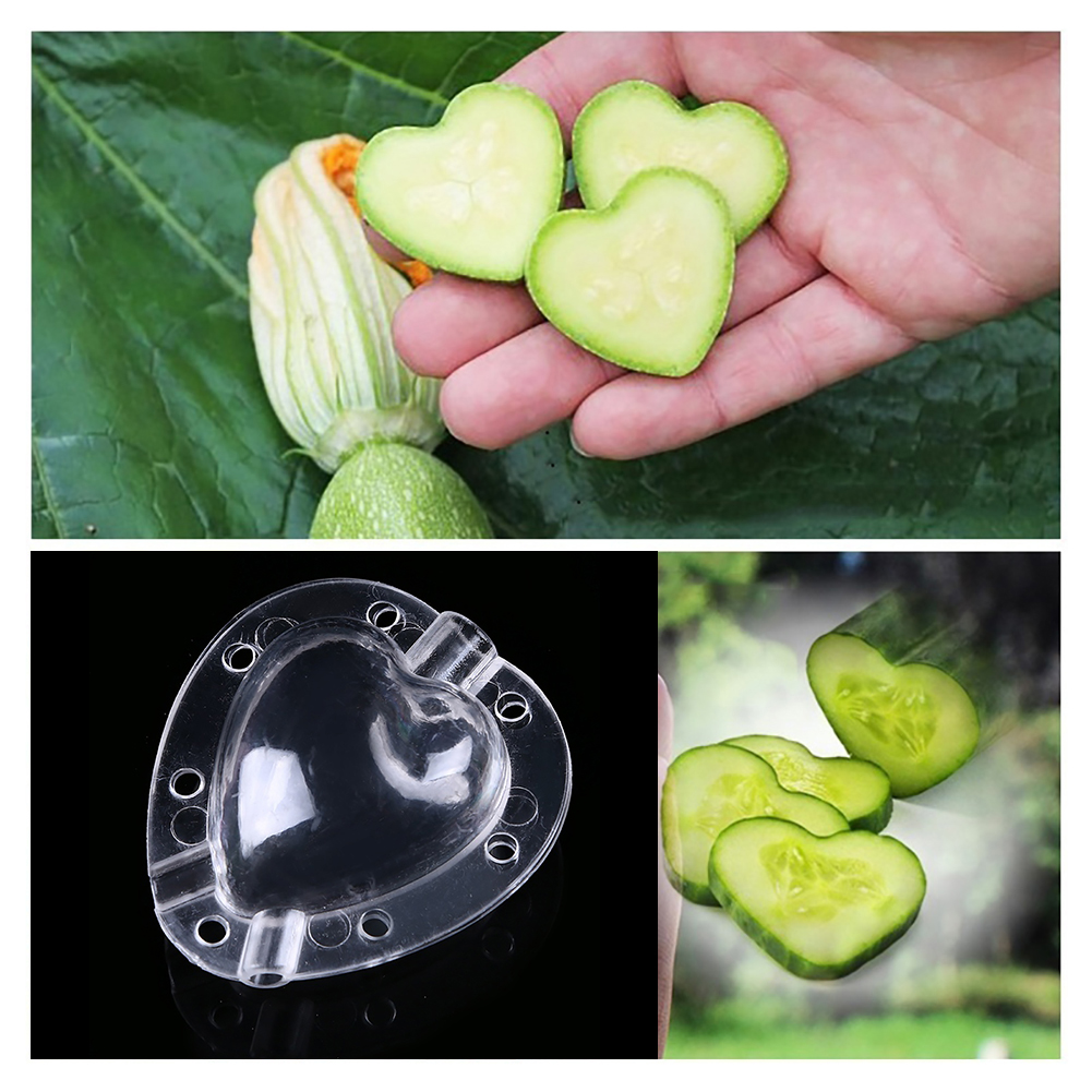 BowLift | Heart Shaped Vegetable Cutter – Creative Mold Bowl for Vegetables and Fruits