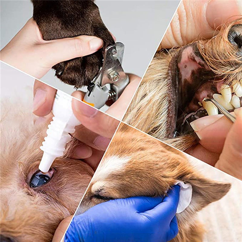 BowLift | Dog Cat Hammock