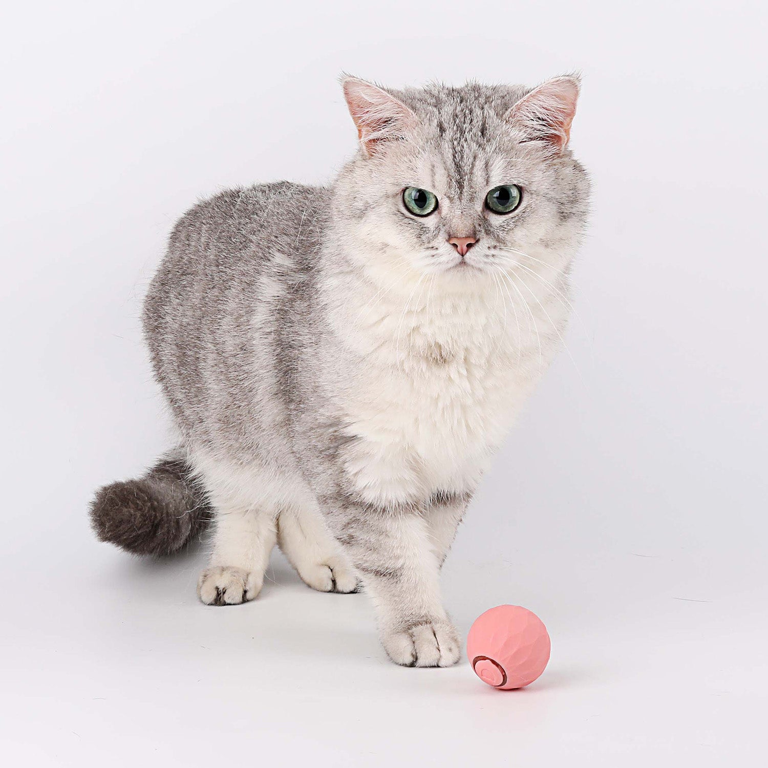 BowLift | Cat Toy | Interactive Self-Rolling Ball