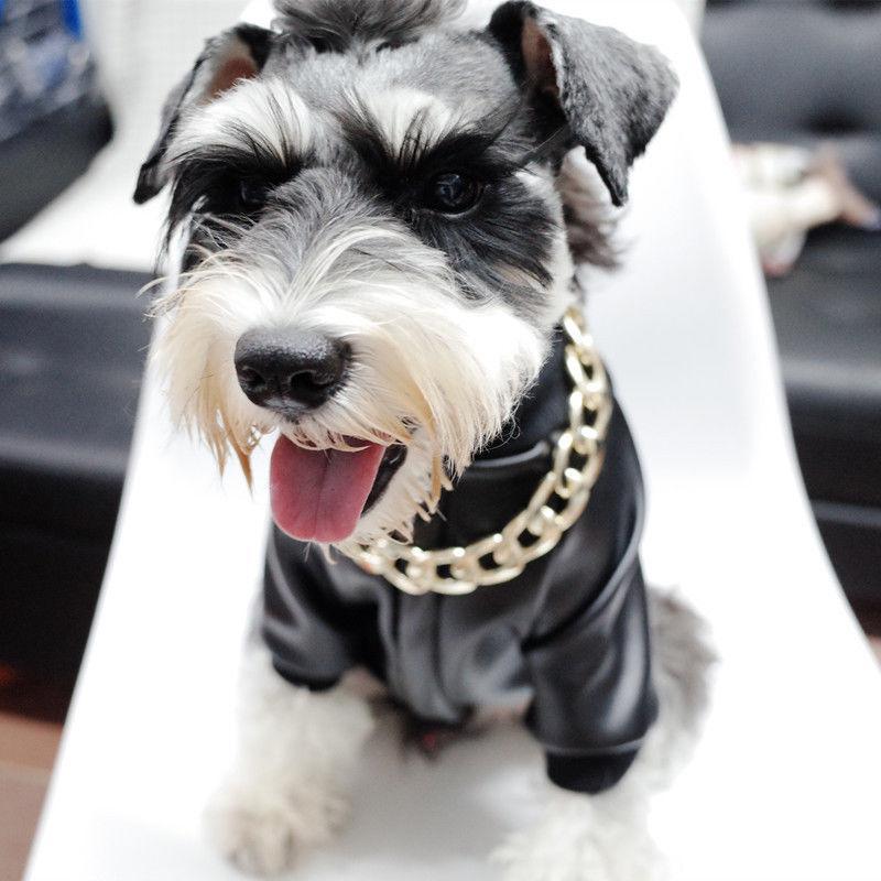 BowLift | Thick golden chain pet safety collar