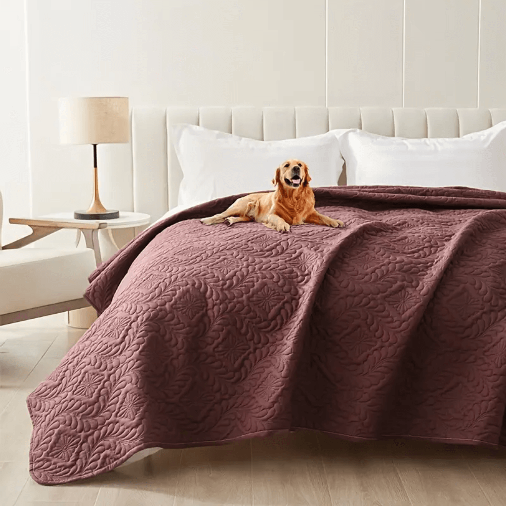 Versatile Moisture-Proof Dog Mat