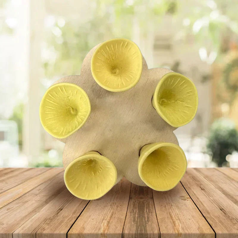 BowLift | Drinking cup for bees and insects