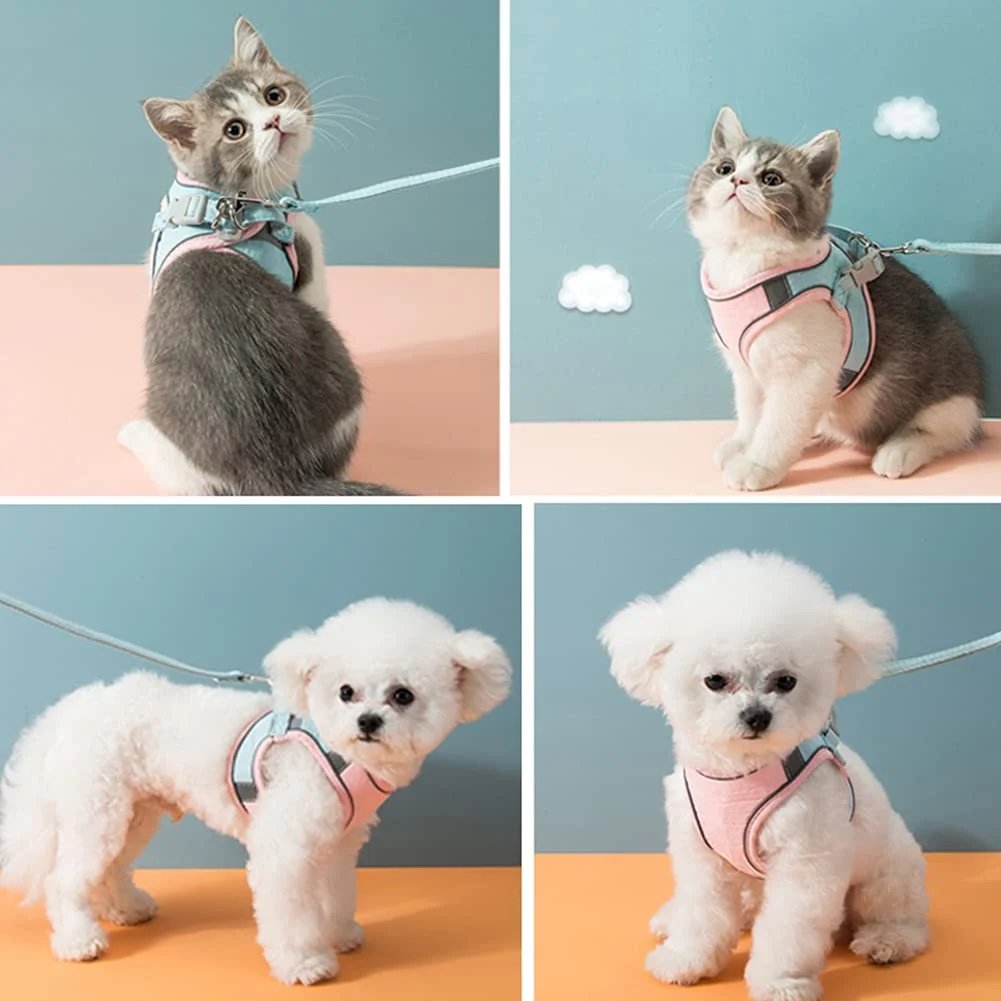 BowLift | Cat Vest And Belt Kit Pet Traction Rope