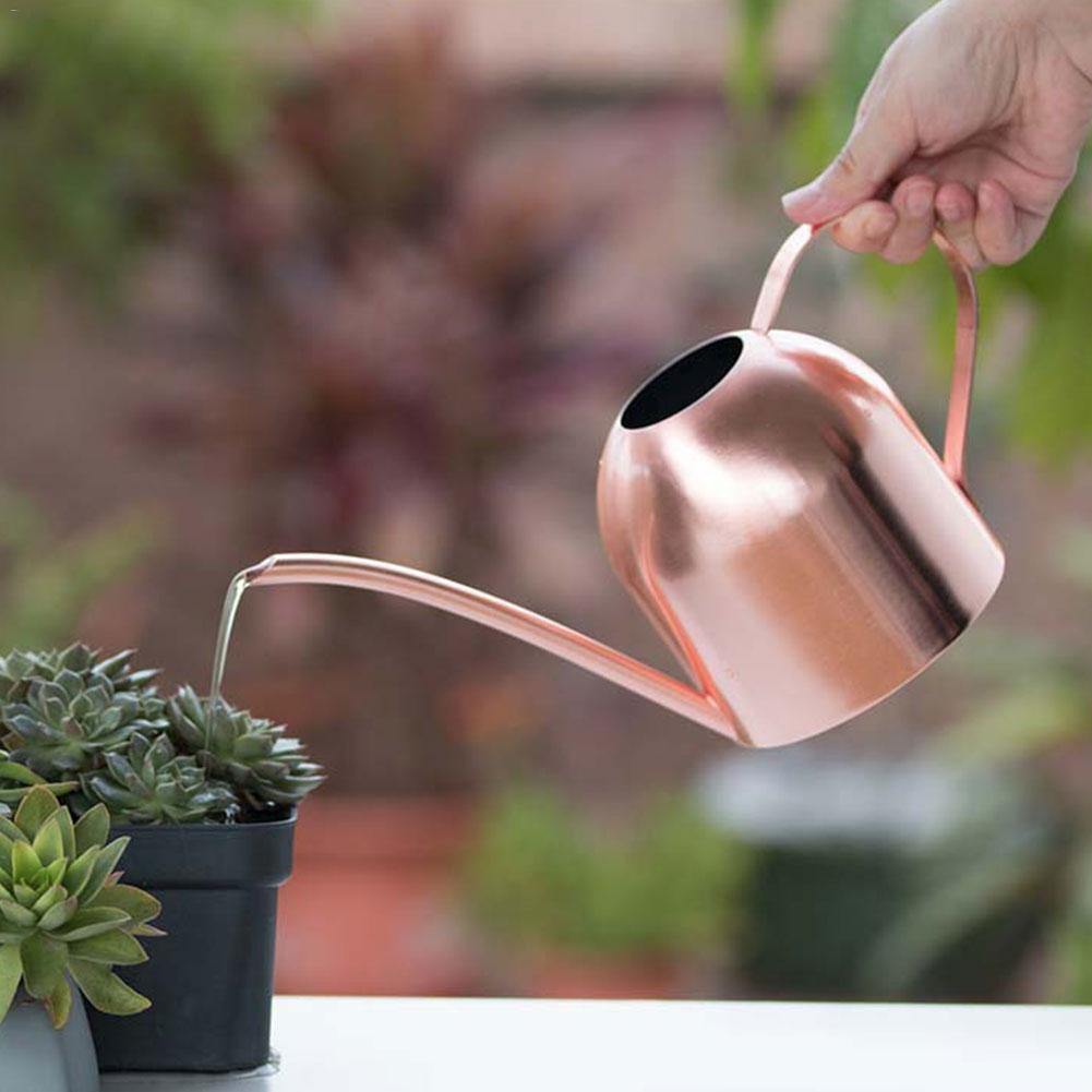 BowLift | AquaGrace Stainless Steel Watering Can with Flexible Neck | Modern Design | Perfect Watering | Rustproof