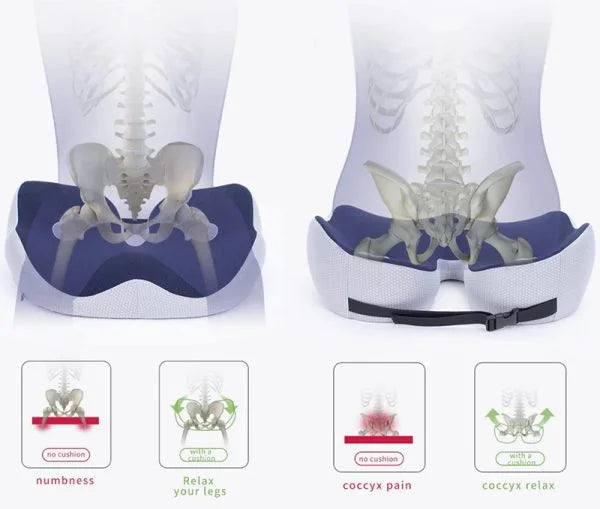 BowLift | Adjustable Memory Foam Seat Cushion for Sit Bone Relief | Ergonomic Design for Office Chair and Car Use