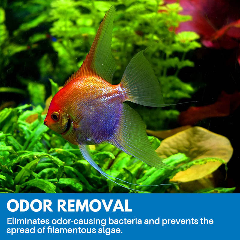 BowLift | Aquarium Cleaning Powder