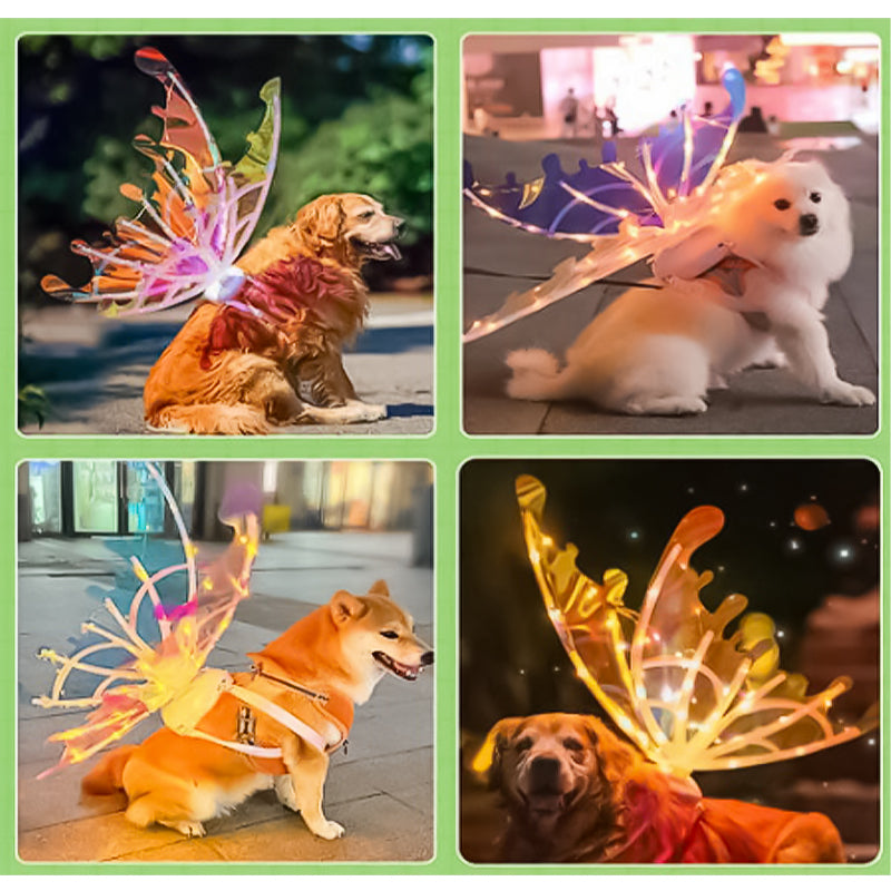 BowLift | Electric fairy butterfly wings with LED lights