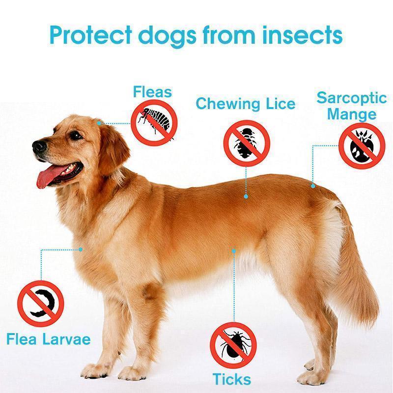 BowLift | Adjustable Insect Defense Collar for Pets