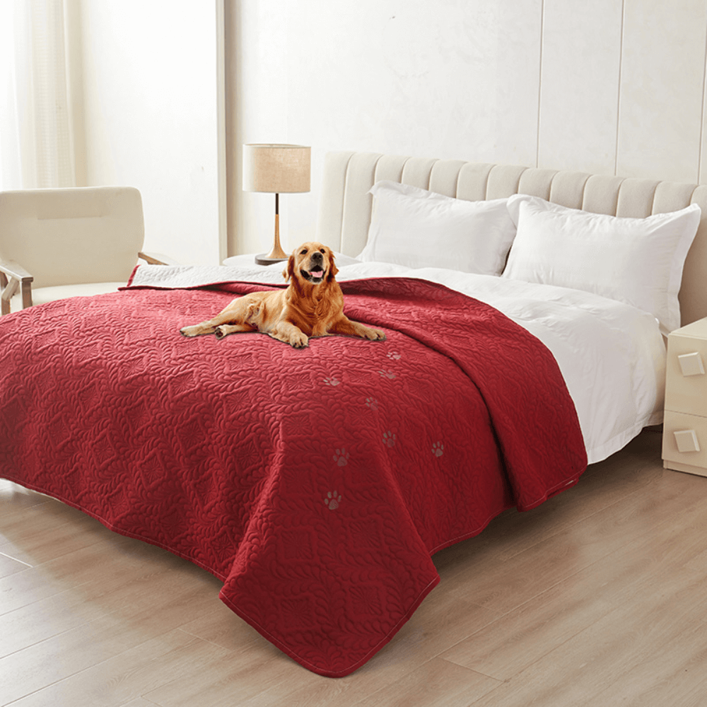 Versatile Moisture-Proof Dog Mat