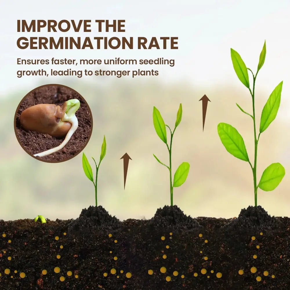 BowLift | 60 g Soil Activator with Minerals for Healthy Plants