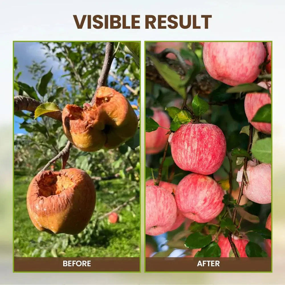 BowLift | 60 g Soil Activator with Minerals for Healthy Plants