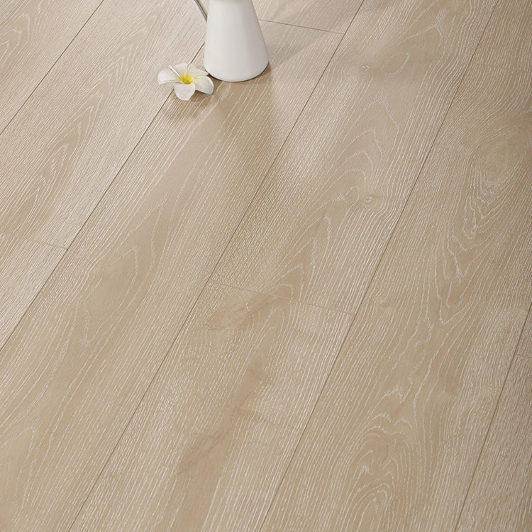 BowLift | Contemporary Laminate Flooring Light Color Wood Laminate Flooring