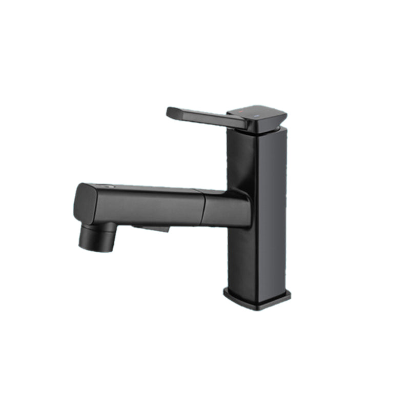 BowLift | Lever Handle Faucet Pull-Out Basin Faucet with Swivel Spout