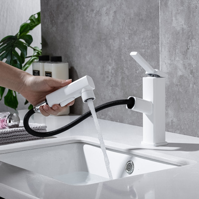 BowLift | Lever Handle Faucet Pull-Out Basin Faucet with Swivel Spout