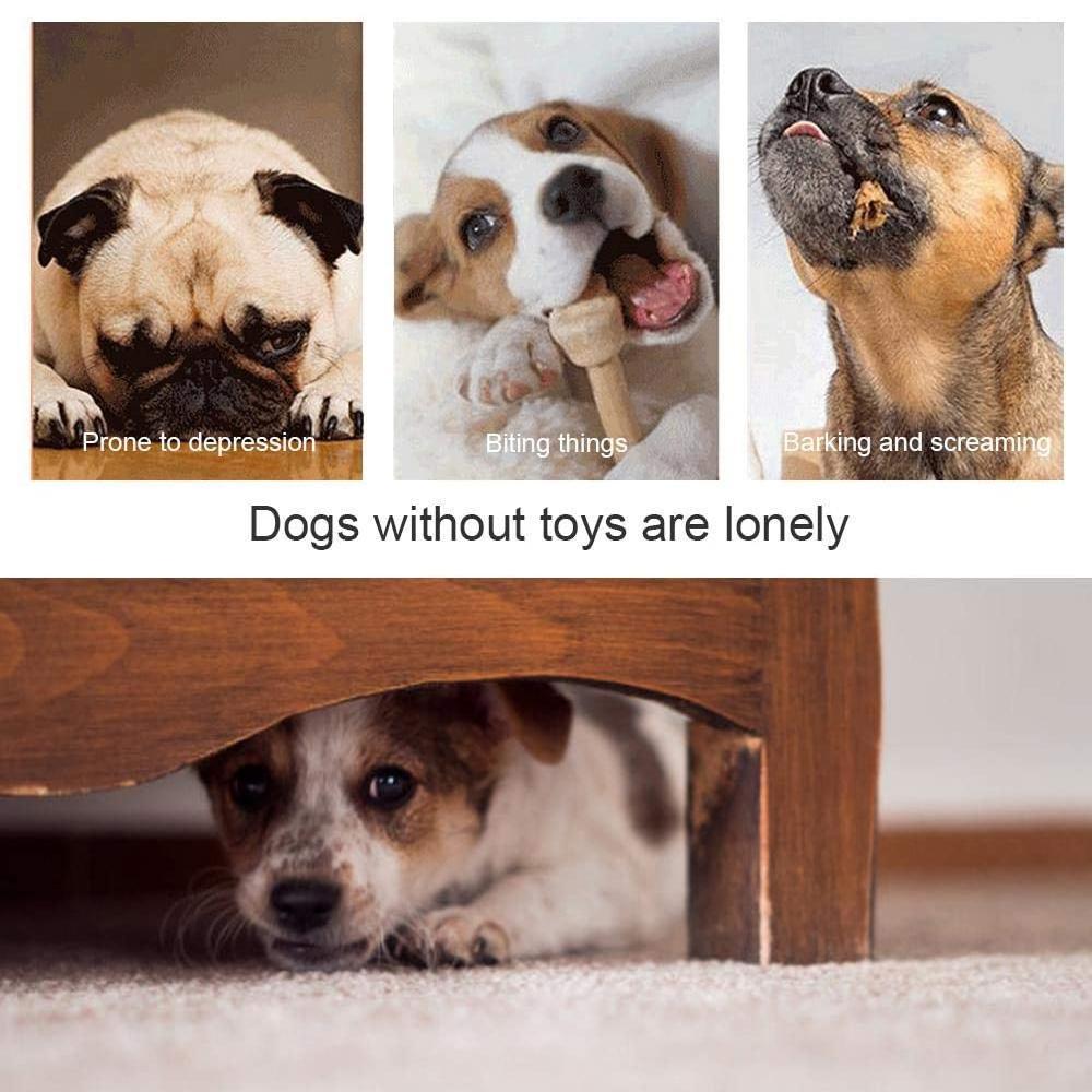 BowLift | Dog Bite Toy Interactive food leaker toy with Suction Cup