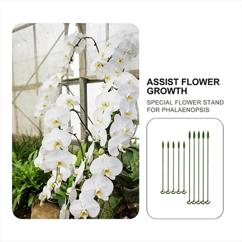 BowLift | Plant support