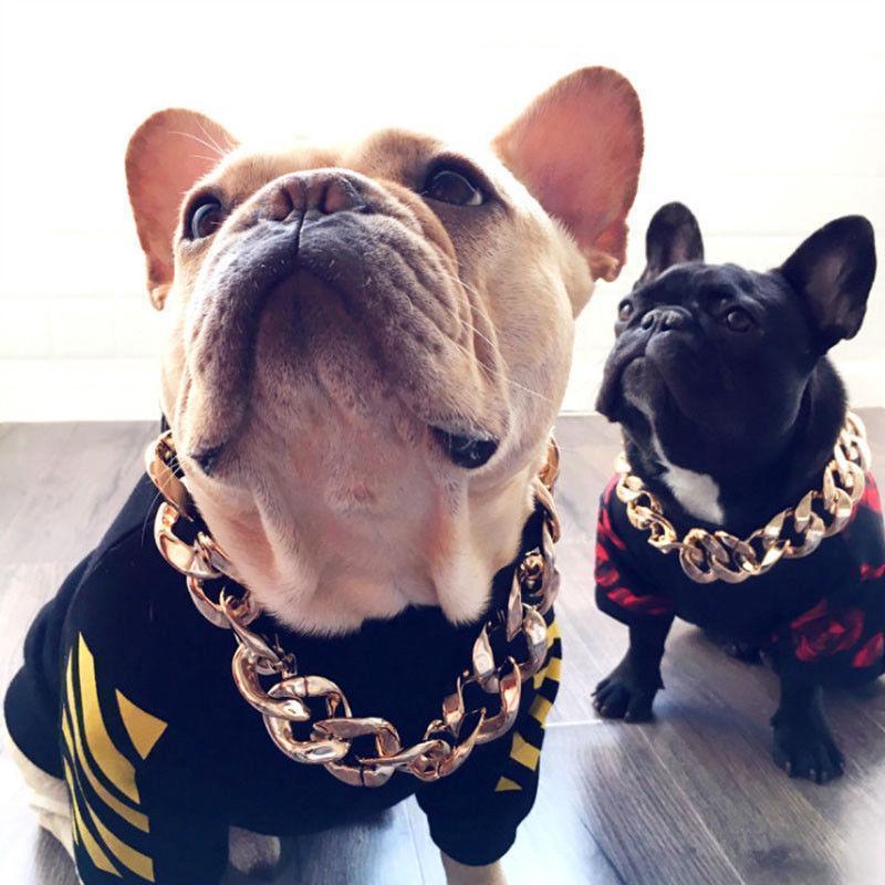 BowLift | Thick golden chain pet safety collar