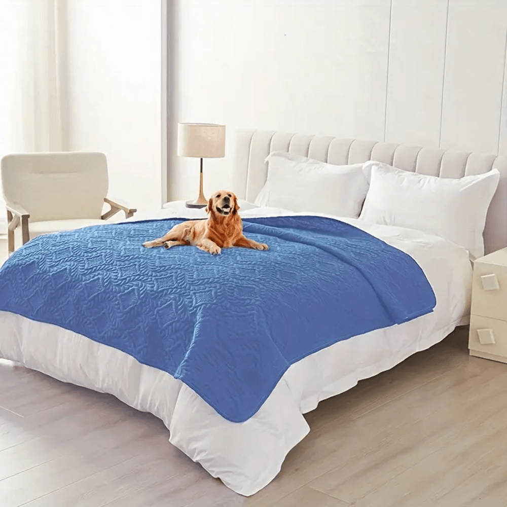 Versatile Moisture-Proof Dog Mat