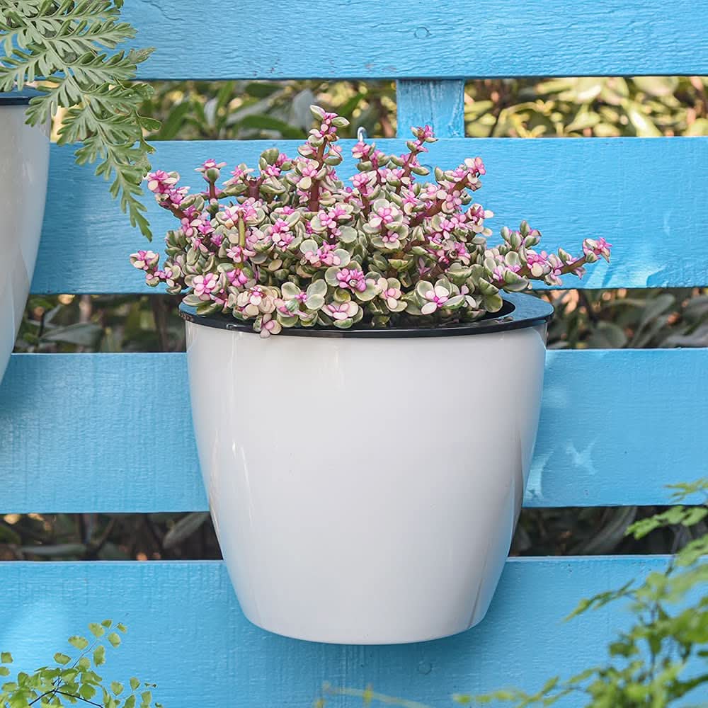 BowLift | Garden Balance – The elegant self-sustaining flower pot for indoor & outdoor