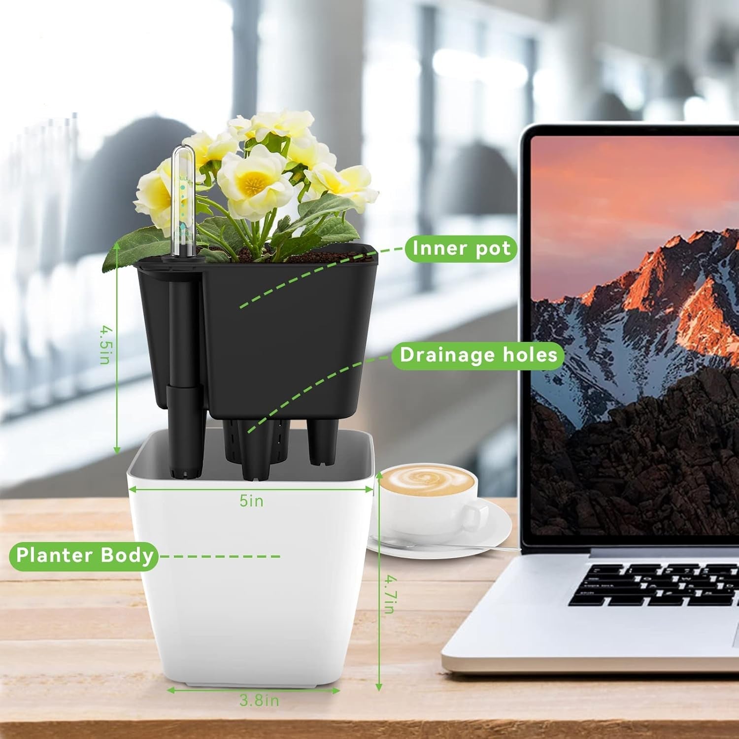 BowLift | Flower pot with irrigation system – Self-watering plant pot for indoor and outdoor use