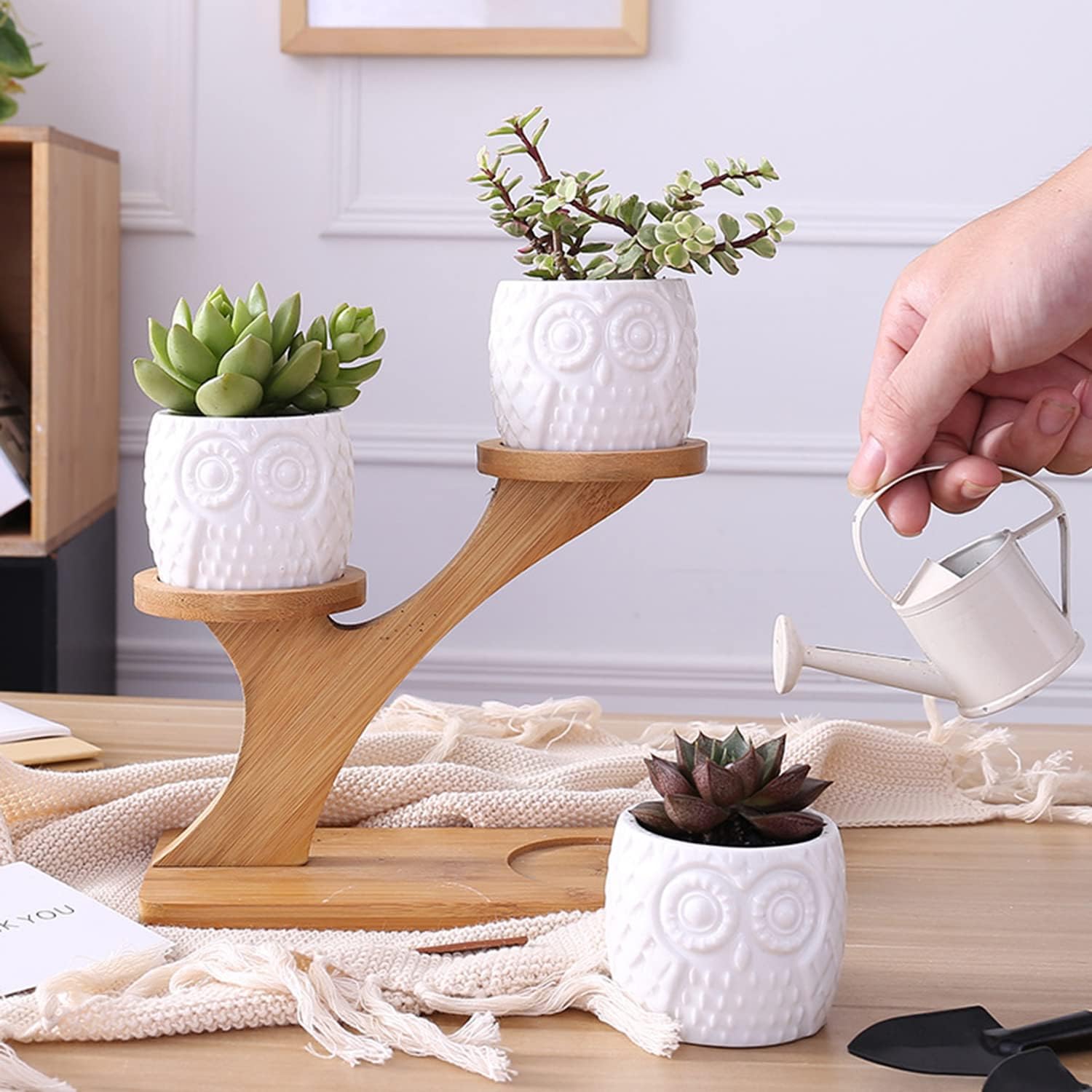 BowLift | Decorative plant stand made of wood – plant pots in owl design for succulents and indoor plants
