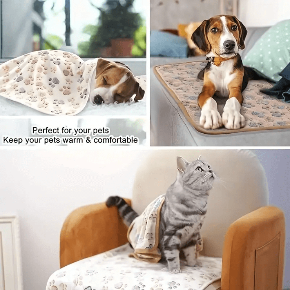 CozyPaws Pet Blanket