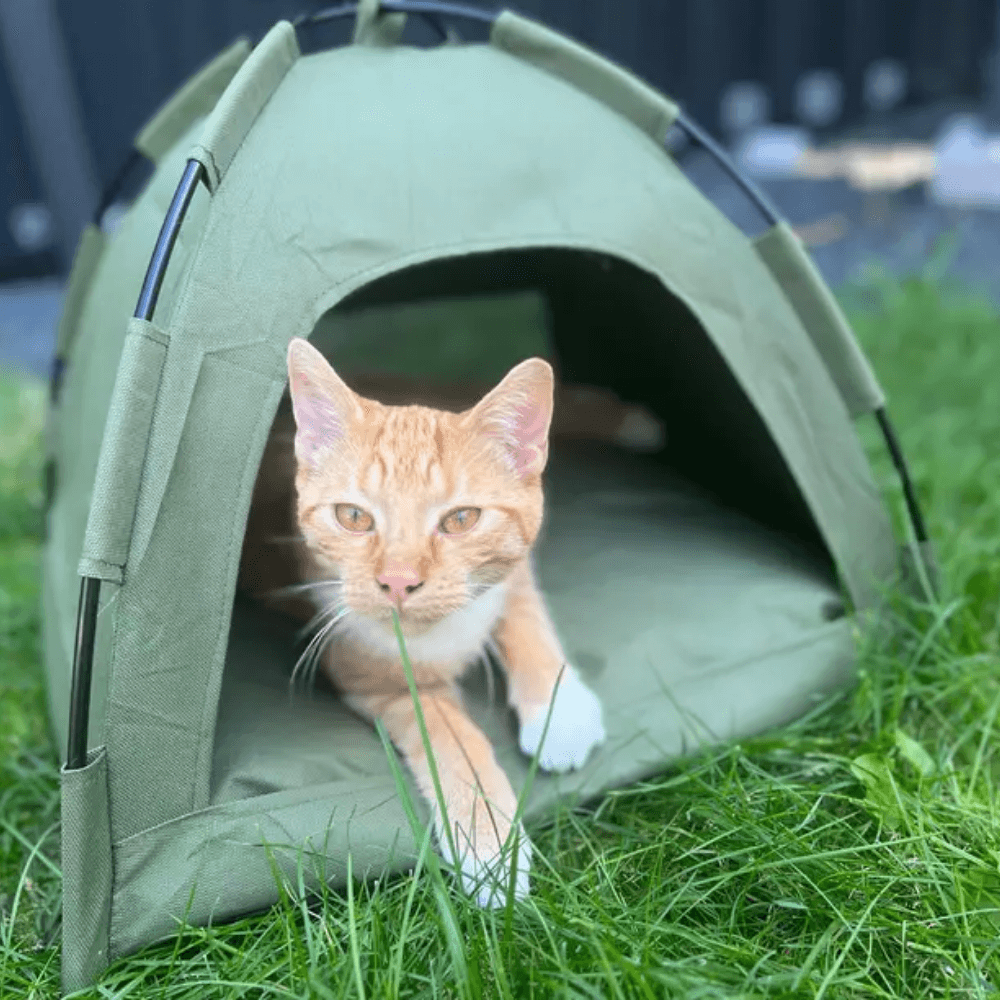 Portable Cat and Dog Tent Bed