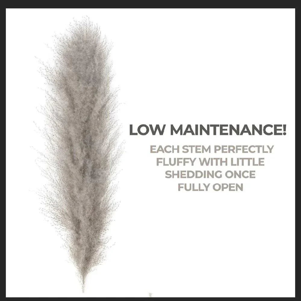 BowLift | 80 cm natural, real dried pampas grass bouquet (white / beige / gray) │ fluffy feather for modern boho home decor