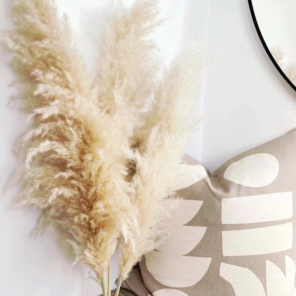 BowLift | 80 cm natural, real dried pampas grass bouquet (white / beige / gray) │ fluffy feather for modern boho home decor