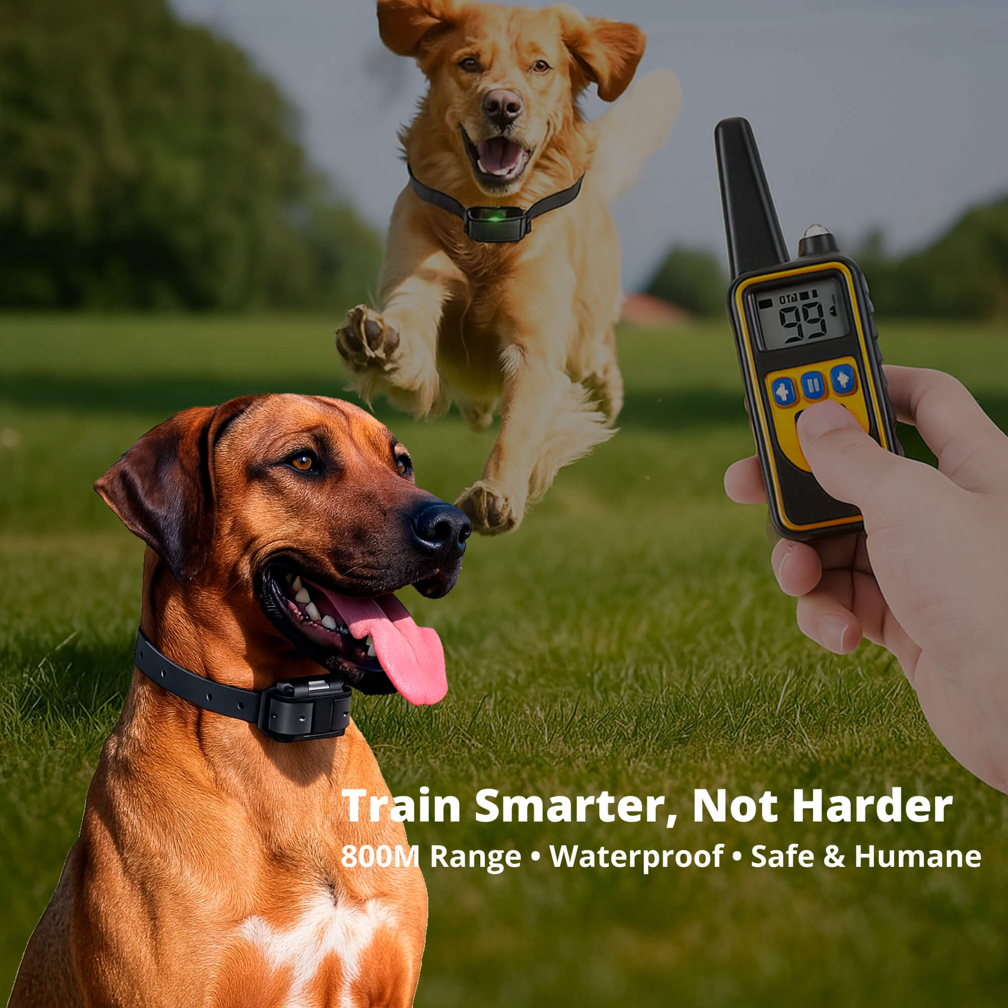 BowLift | 800M Rechargeable Electric Dog Training Collar | Waterproof, Remote Control & Ideal for Effective Dog Training