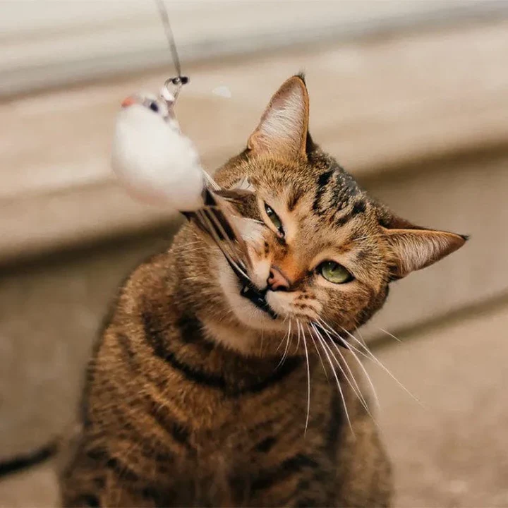 BowLift | Interactive Bird Simulation Cat Toy Set