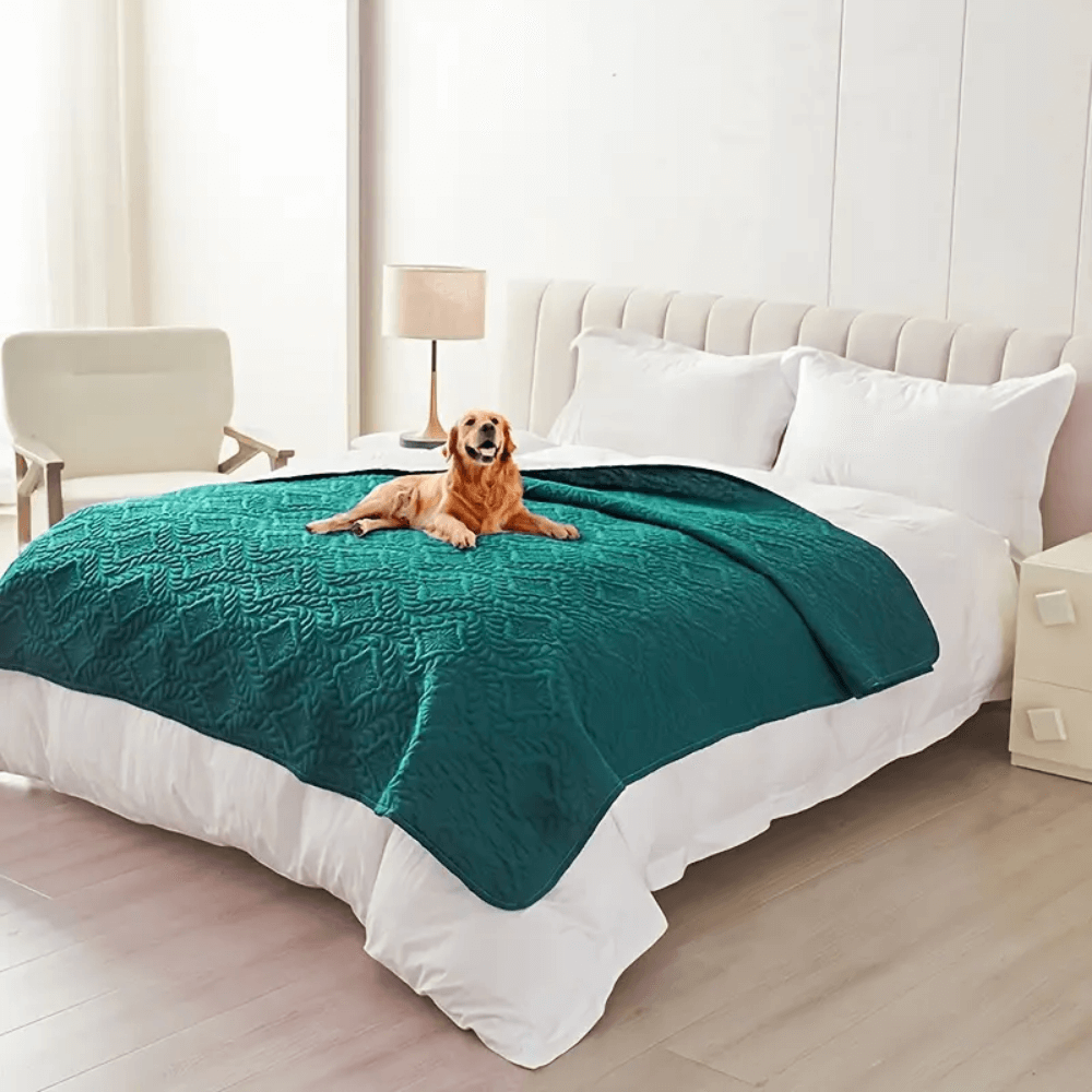 Versatile Moisture-Proof Dog Mat