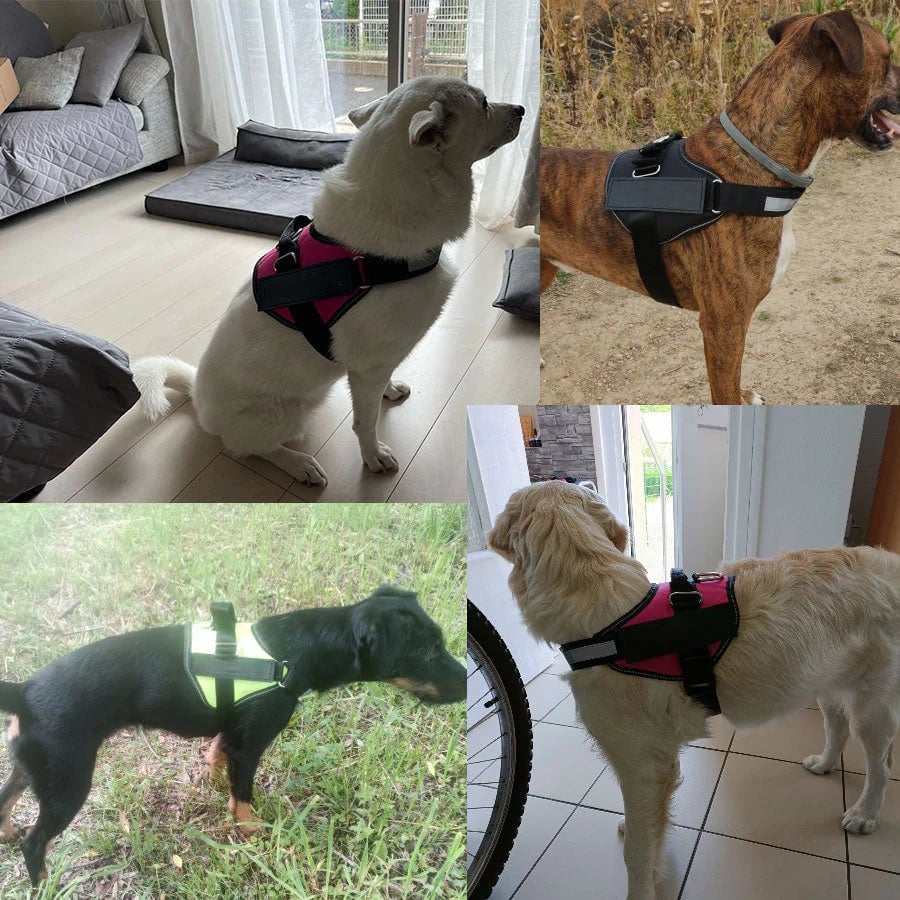 BowLift | Anti Choke Dog Harness