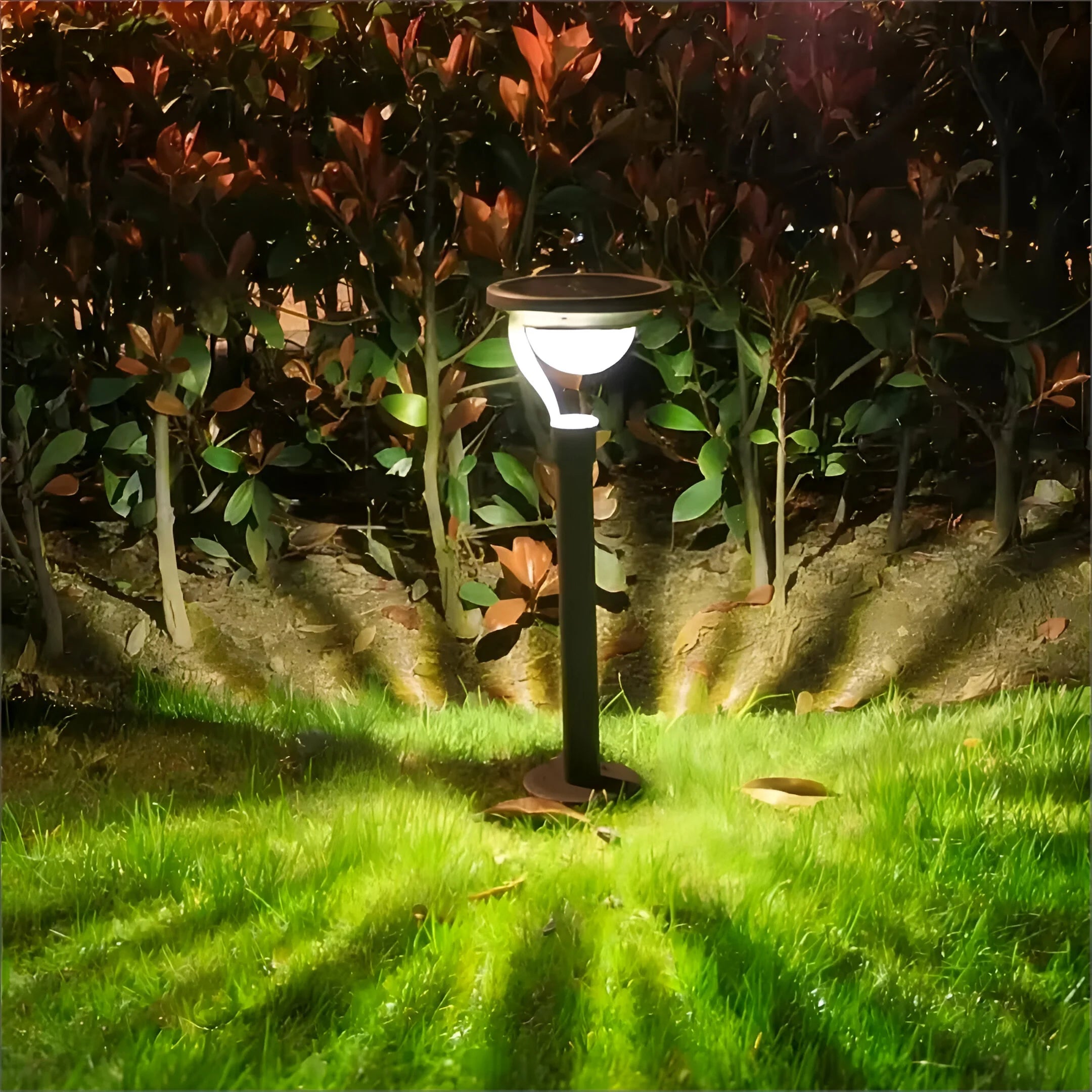 LumiPath – Solar Garden Pathway Lights