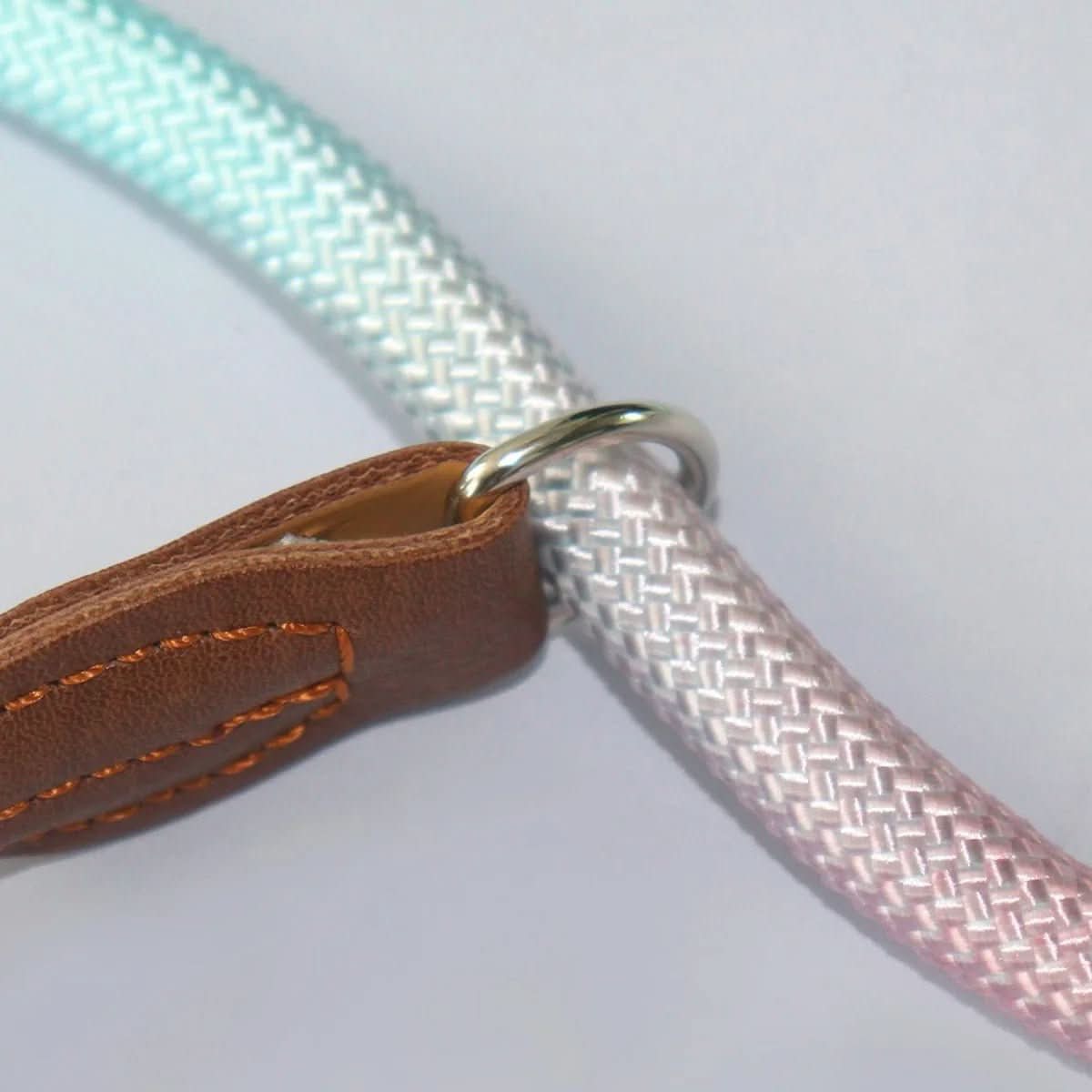 BowLift | CLÉMENTINE LEASH – Colored dog leash for stylish walks with comfort