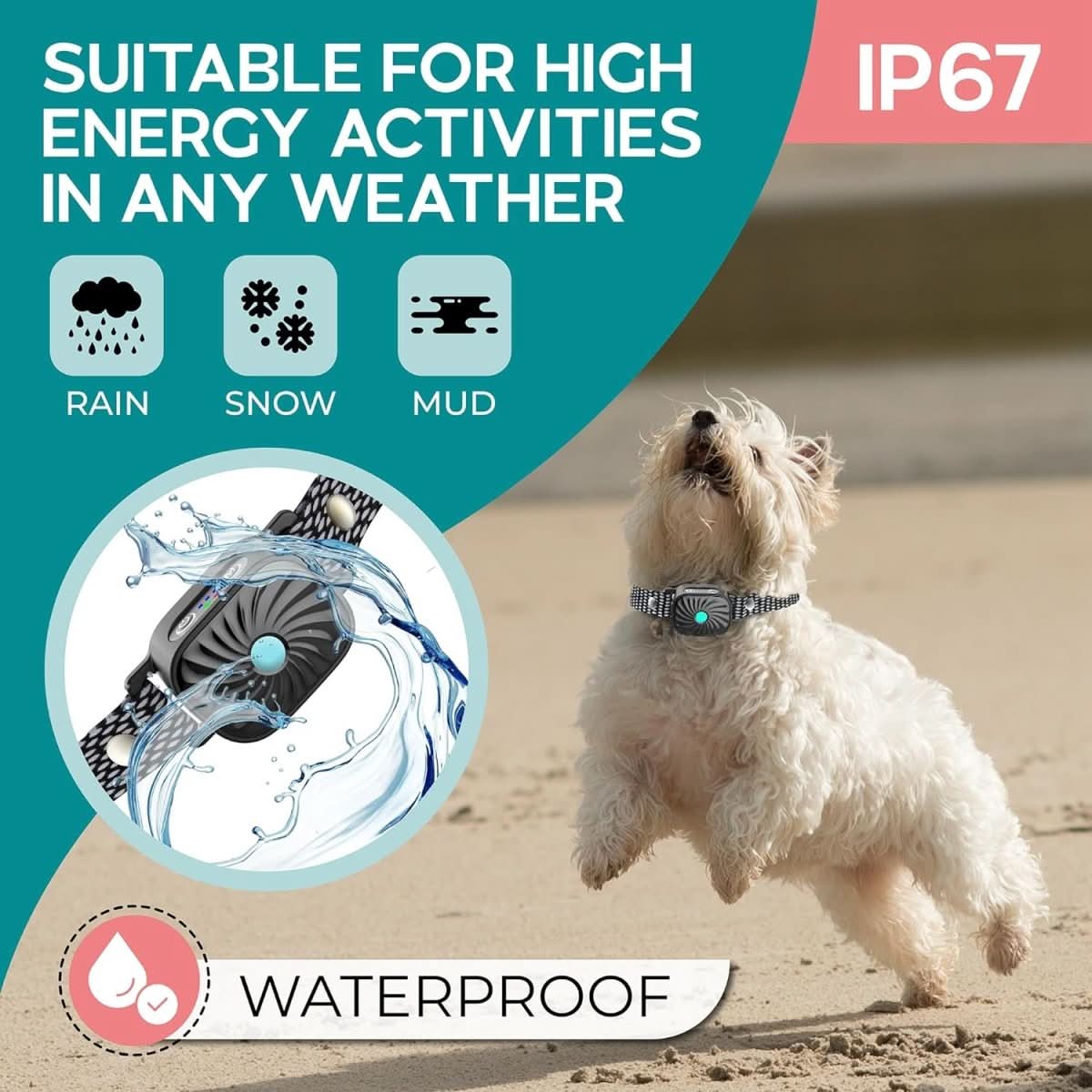 BowLift | Gentle training collar with sound & vibration