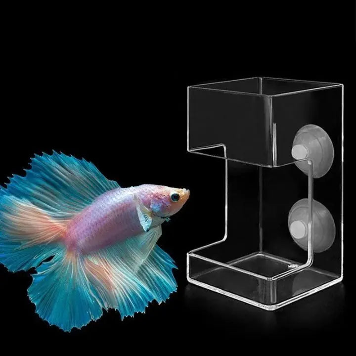 BowLift | Aquarium Feeding Station with Suction Cups – Clean & Targeted Feeding